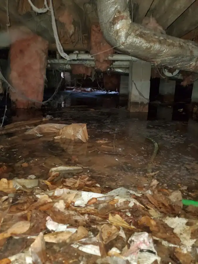 Crawl space flood assessment for Leak Detection & Repair in New Castle